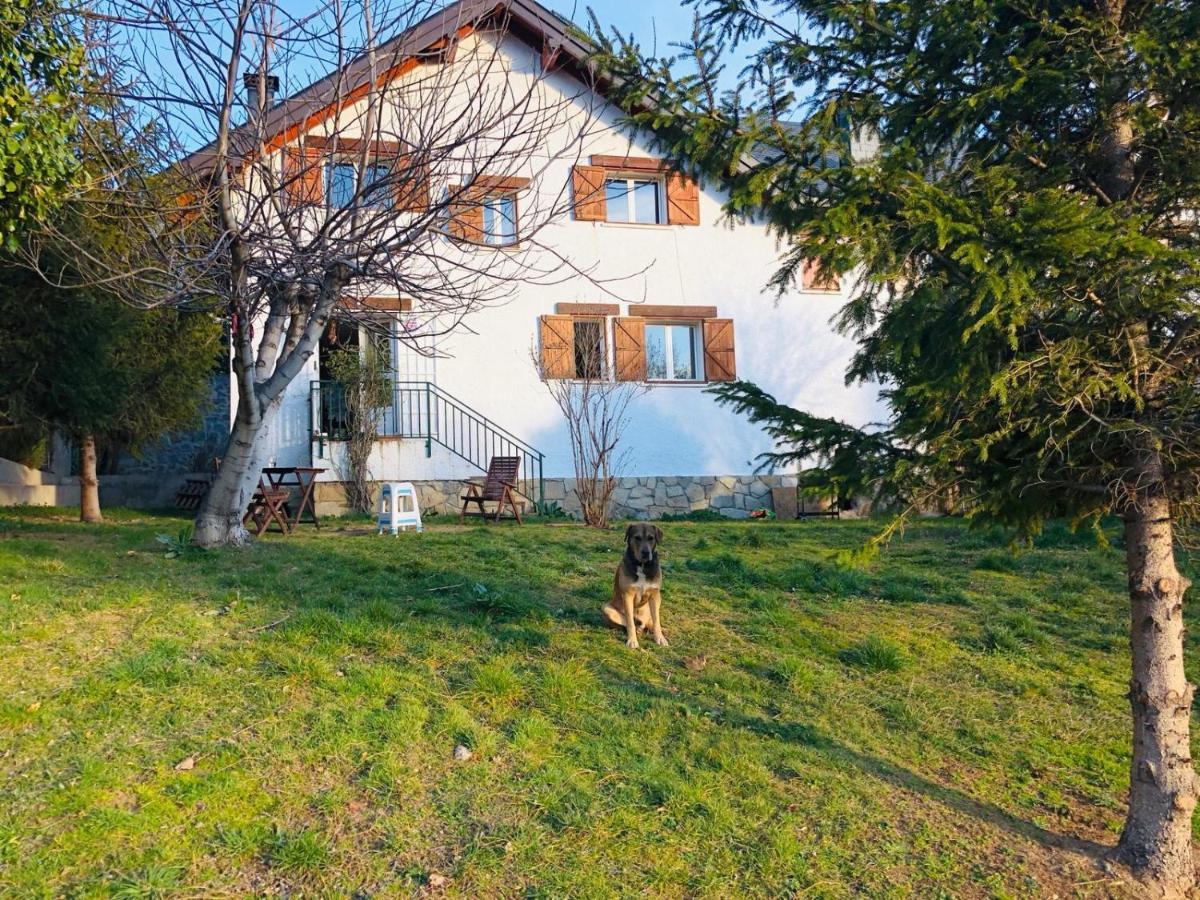 Casa Con Jardin, 4 Habitaciones Y Mucho Encanto En 塞尔塞迪利亚 外观 照片